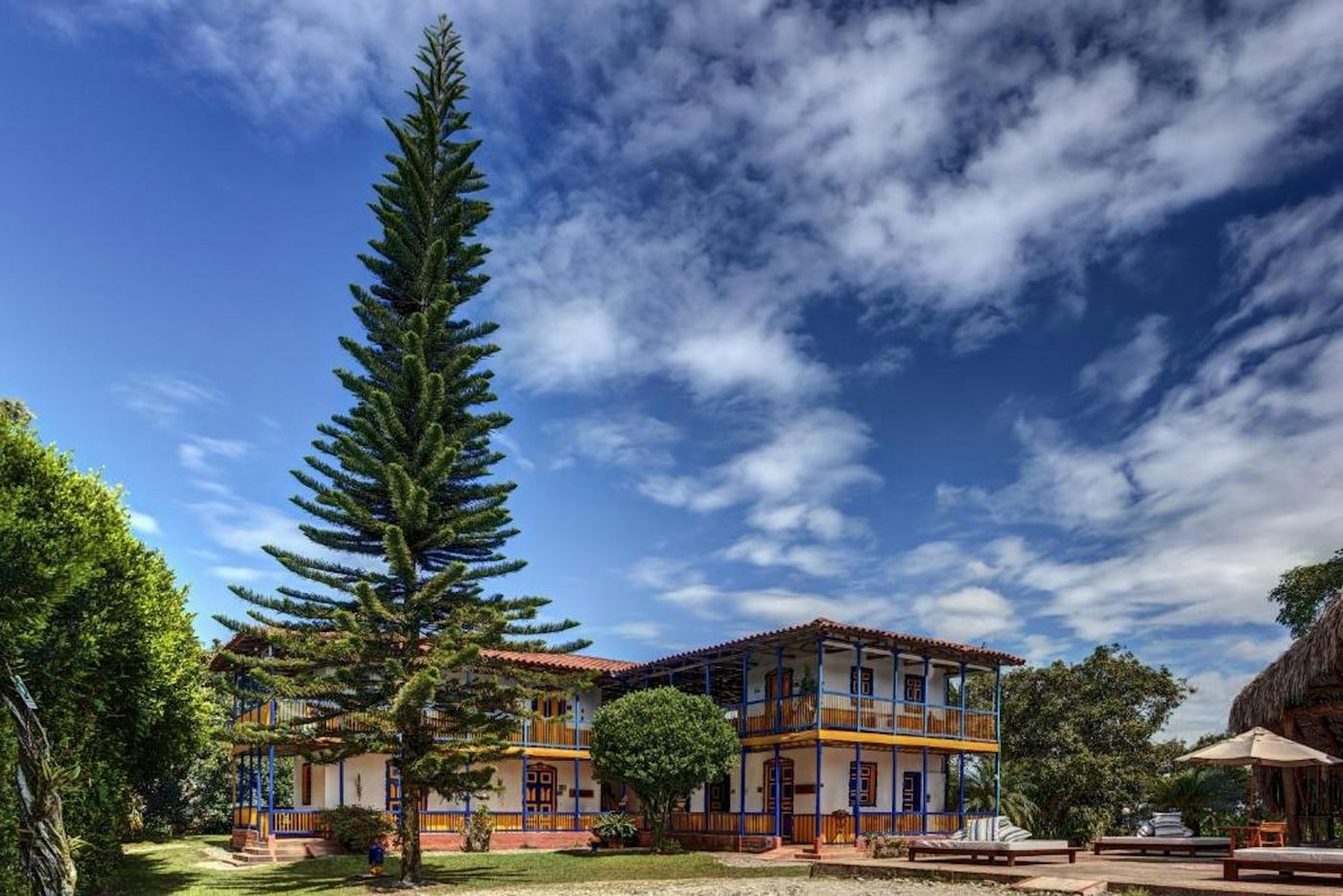 tree · Hotel Hacienda Combia